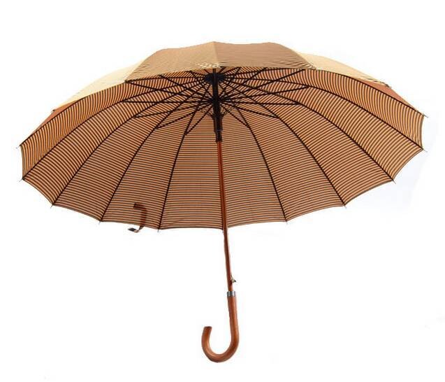 CHO MƯỢN CÂY DÙ