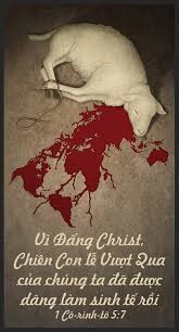 ĐÃ BÔI HUYẾT CHƯA?